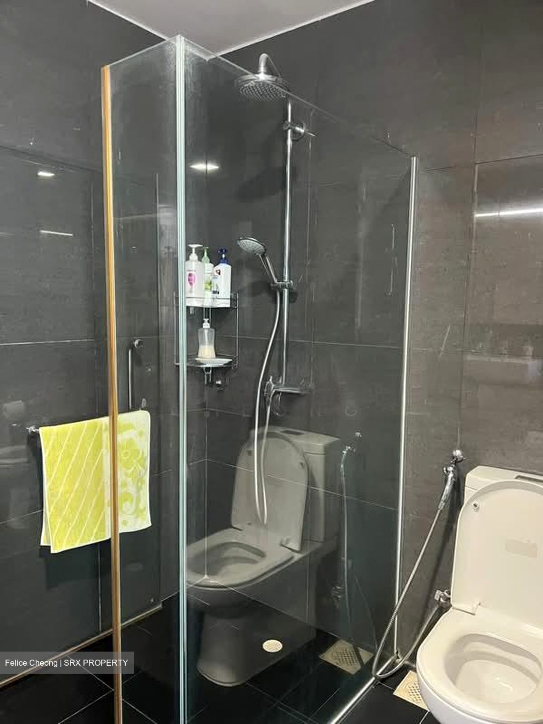 The Waterside (D15), Condominium #547365561